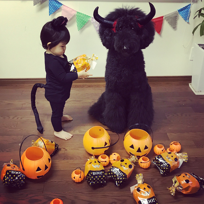 Loạt ảnh hóa trang Halloween hoành tráng nhất mạng xã hội của bé gái Nhật và những người bạn thú cưng Loạt ảnh hóa trang Halloween hoành tráng nhất mạng xã hội của bé gái Nhật và những người bạn thú cưng