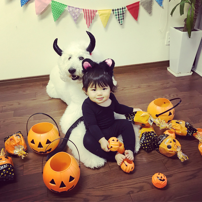 Loạt ảnh hóa trang Halloween hoành tráng nhất mạng xã hội của bé gái Nhật và những người bạn thú cưng