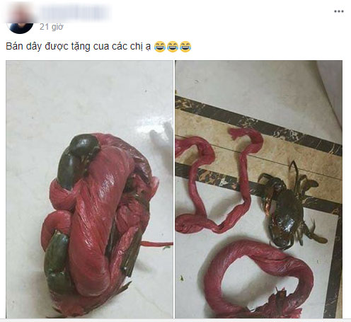 Câu chuyện kinh dị nhất mùa Halloween: Bà nội trợ mua cua lực sĩ, cởi trói xong thành cua còi dí