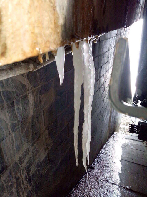 Cây cỏ, ga cáp treo đóng băng trên đỉnh Fansipan