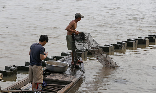 Chuyên gia lo ngại dự án lấp sông Tiền xây công viên trái cây