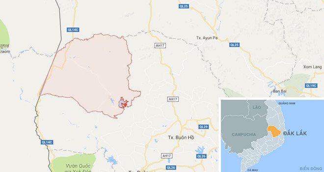 Thủ tướng yêu cầu Đắk Lắk kiểm điểm các vụ thác gỗ trái phép