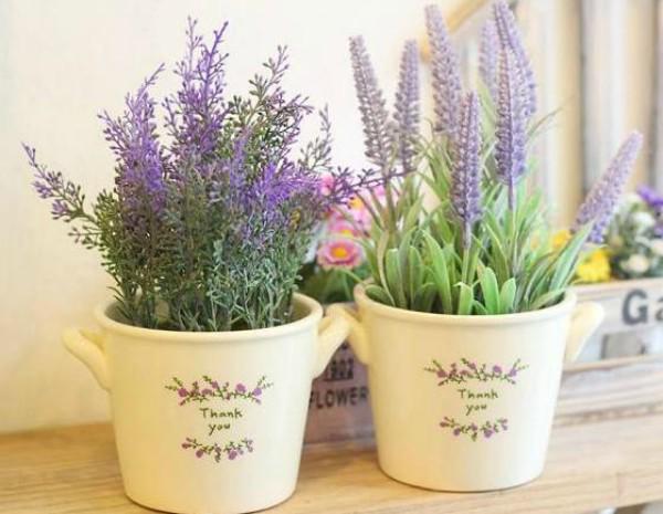 Muốn ngủ ngon và sâu, nhất định nên trồng những loại cây này trong phòng ngủ Muốn ngủ ngon và sâu, nhất định nên trồng những loại cây này trong phòng ngủ