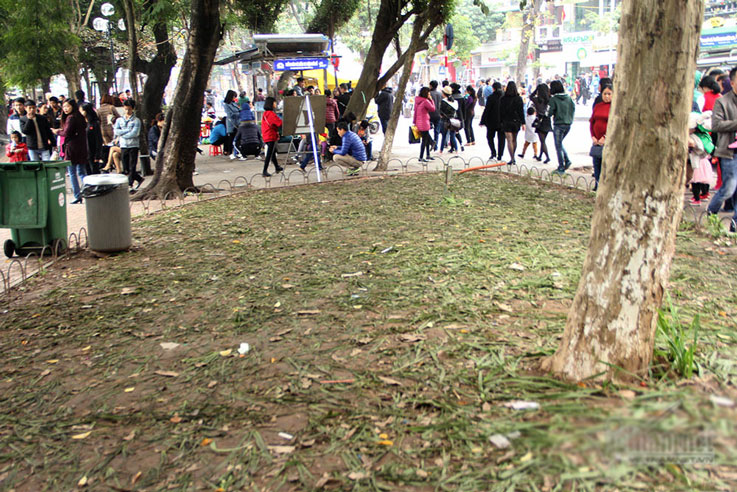 Vườn hoa hồ Gươm bị san phẳng sau đêm giao thừa