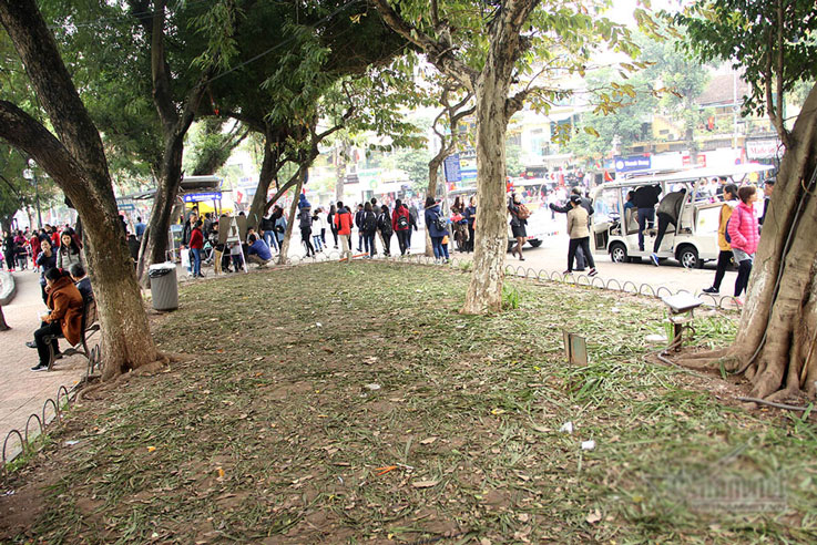 Vườn hoa hồ Gươm bị san phẳng sau đêm giao thừa