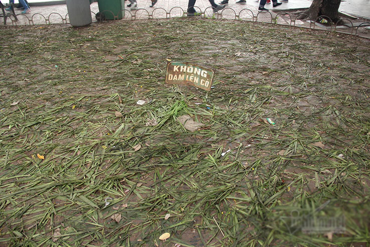 Vườn hoa hồ Gươm bị san phẳng sau đêm giao thừa