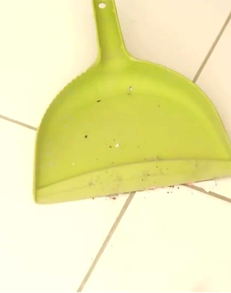 Quét mãi mà bụi chẳng chịu vào ki hốt rác thì làm 1 thao tác này là đảm bảo nhà sạch trơn