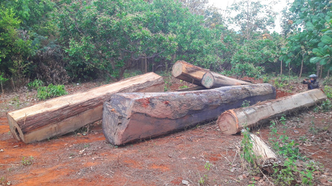 Trục vớt gỗ lậu dưới lòng hồ thủy điện