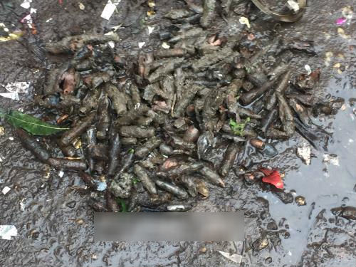 Vụ nổ ở Bắc Ninh: Thu gom được 3.200 kg đầu đạn