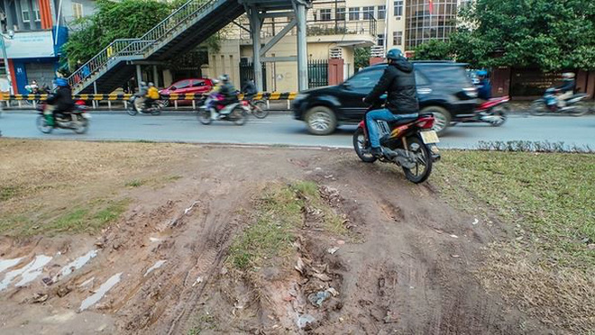 Bắt đầu dời cây, xén dải phân cách ở đường đẹp nhất Hà Nội