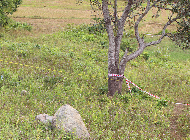 Bắt nghi phạm sát hại, cưỡng hiếp cô gái chăn dê dưới chân núi Mồ Côi
