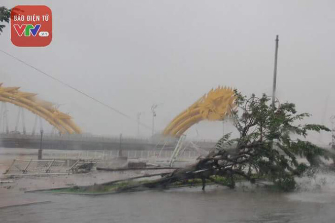 Thông tin cầu Rồng gãy đôi, nhiều người rơi xuống sông là tin đồn nhảm