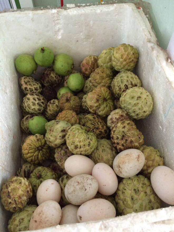 Cô nàng lấy chồng xa 600 cây số, 6 năm rồi mà tháng nào nhà ngoại cũng bao đồ ngon sạch cho ăn