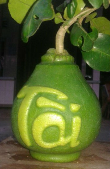 Đào tiên hồ lô giá nửa triệu đồng cho Tết Nguyên Đán