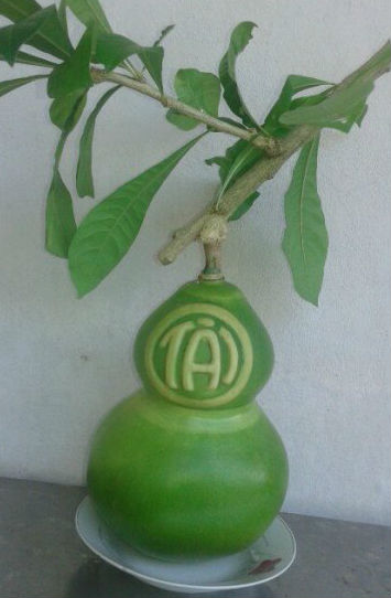 Đào tiên hồ lô giá nửa triệu đồng cho Tết Nguyên Đán