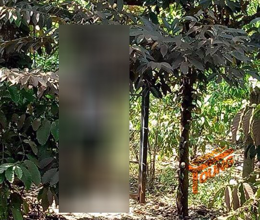 Vụ chồng chém vợ tử vong rồi treo cổ: 2 con nhỏ mồ côi không ai nuôi nấng