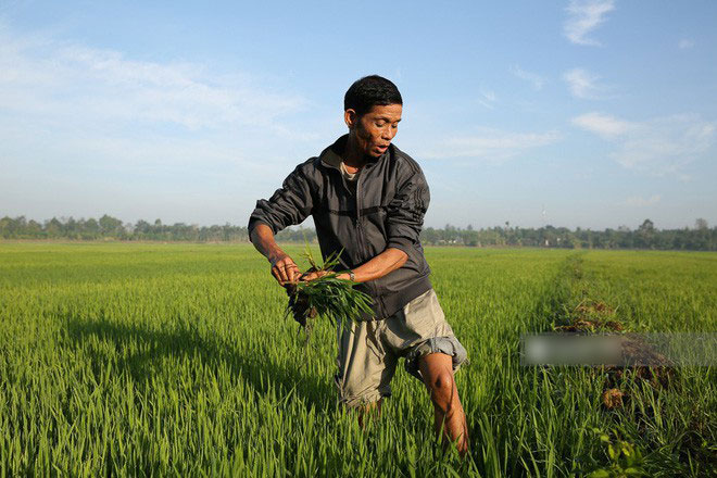 Bố HHen Niê vẫn tất bật với công việc làm ruộng, bốc vác dù con gái vừa đăng quang Hoa hậu Hoàn vũ Việt Nam