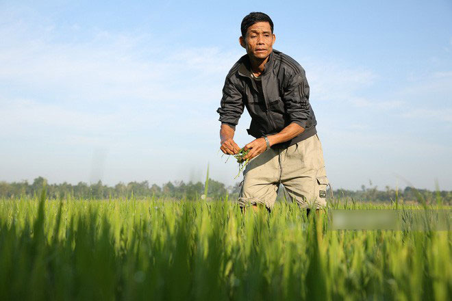 Bố HHen Niê vẫn tất bật với công việc làm ruộng, bốc vác dù con gái vừa đăng quang Hoa hậu Hoàn vũ Việt Nam