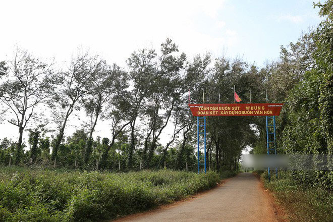 Bố HHen Niê vẫn tất bật với công việc làm ruộng, bốc vác dù con gái vừa đăng quang Hoa hậu Hoàn vũ Việt Nam