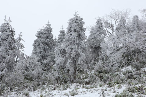 Trở rét nhanh đến chóng mặt: Việt Nam có nơi đã sắp chạm mốc lạnh nhất trong lịch sử