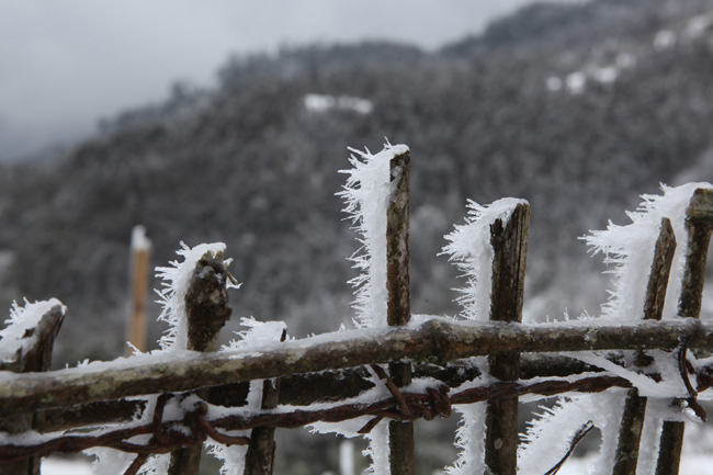 Miền Bắc bước vào ngày lạnh nhất, tuyết có thể rơi đêm nay