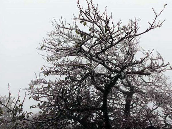 Thời tiết 10/1: Hà Nội rét nhất 2 năm, núi cao nguy cơ có tuyết