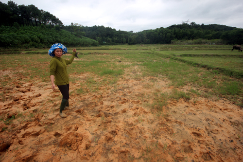 Dân dựng lều phản đối thi công dự án nước sạch nghìn tỷ
