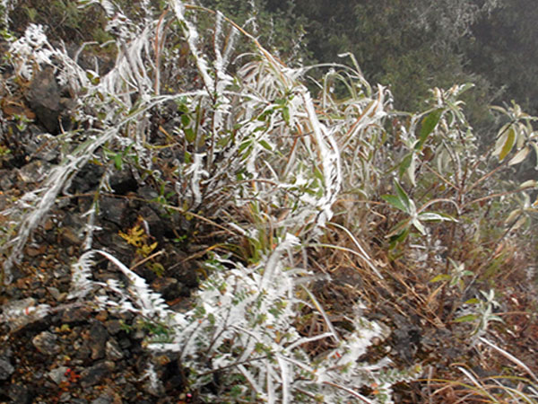 Vùng núi Lào Cai xuất hiện băng giá