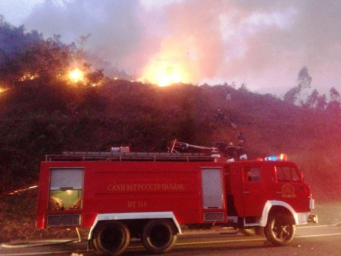 Cháy rừng đặc dụng nam Hải Vân gây thiệt hại hơn 1.000m2