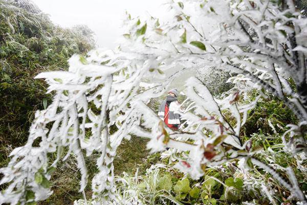 Miền Bắc tiếp tục chìm trong giá rét, Sa Pa dưới 1 độ C