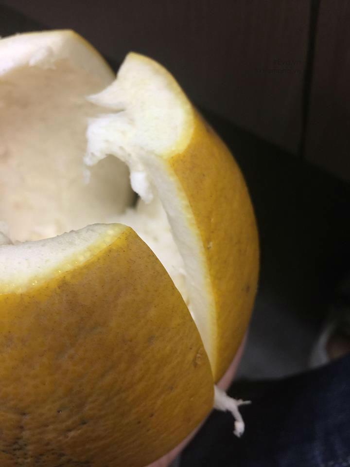 Cách phân biệt bưởi Diễn xịn và bưởi Diễn tràn lan chỉ bán giá 20 nghìn đồng