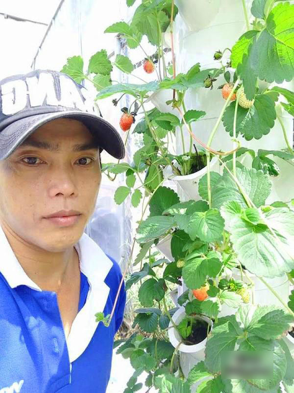 Biết vợ mang bầu, ông bố Sài Thành quyết trồng rau sạch bảo vệ sức khỏe vợ con