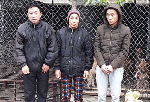 50 cảnh sát bao vây đường dây trộm chó