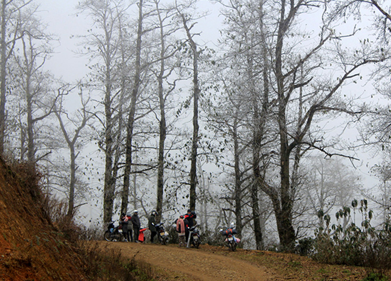 Video: Lên đỉnh Fansipan, thiếu nữ đắm say hứng tuyết