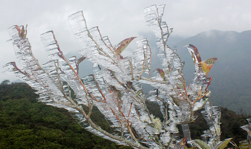 Video: Lên đỉnh Fansipan, thiếu nữ đắm say hứng tuyết