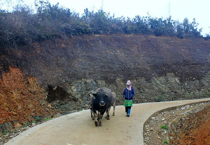 Video: Lên đỉnh Fansipan, thiếu nữ đắm say hứng tuyết