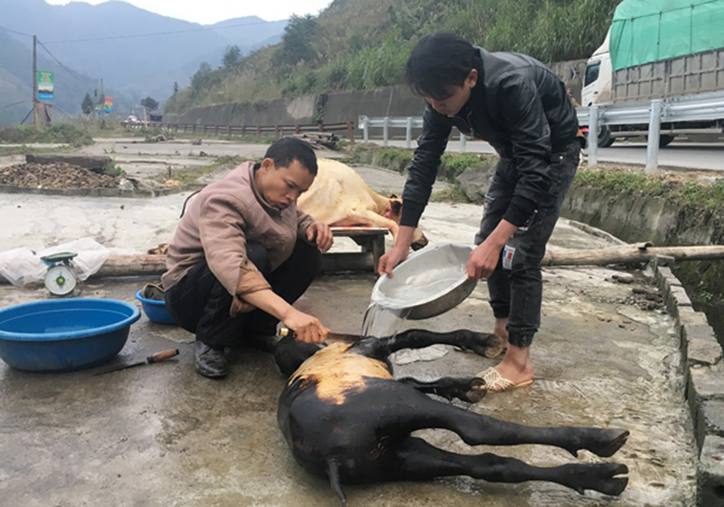 Video: Lên đỉnh Fansipan, thiếu nữ đắm say hứng tuyết