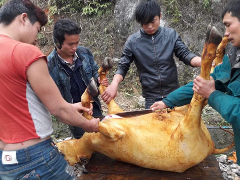 Video: Lên đỉnh Fansipan, thiếu nữ đắm say hứng tuyết
