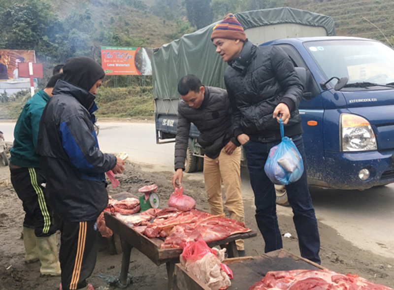 Video: Lên đỉnh Fansipan, thiếu nữ đắm say hứng tuyết