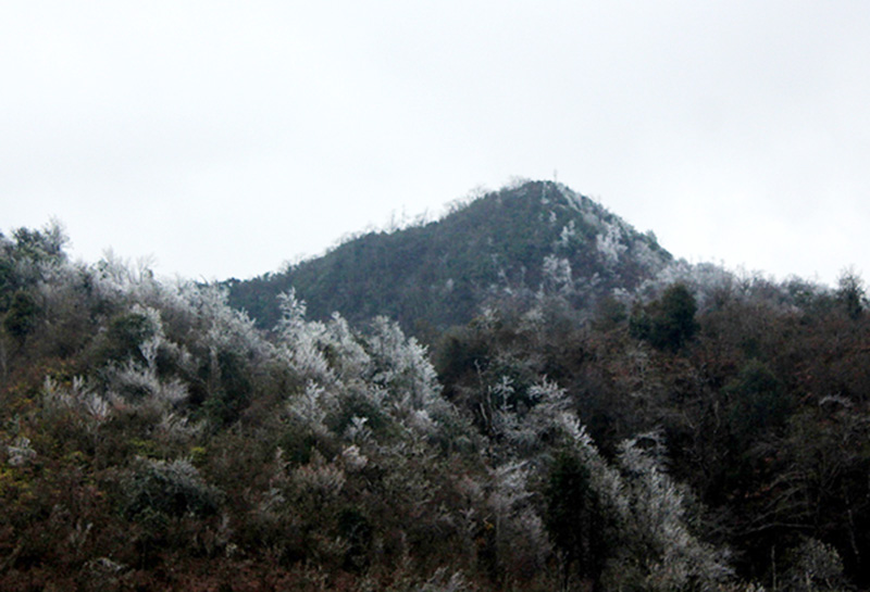 Video: Lên đỉnh Fansipan, thiếu nữ đắm say hứng tuyết