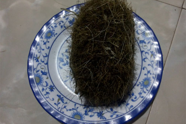 Mổ heo nái, tìm được vật lạ tiền tỷ