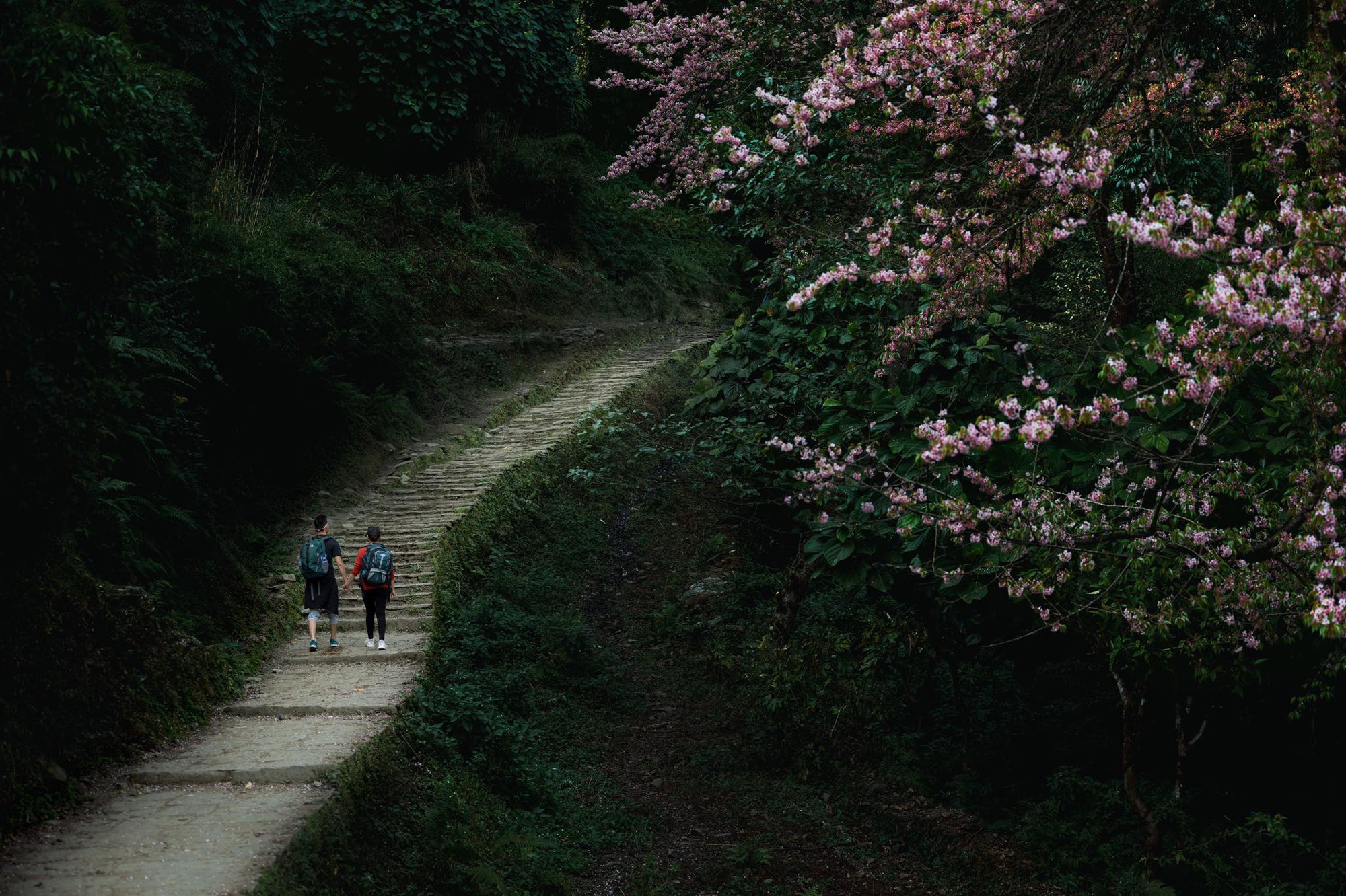 Bộ ảnh cưới không bình thường chút nào ở Nepal của cựu CEO Uber Việt Nam