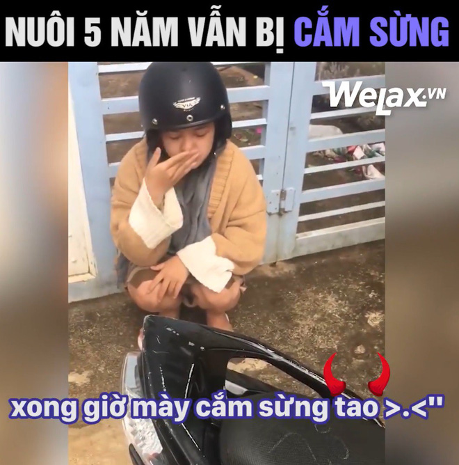 Thanh niên kể nuôi bạn gái 5 năm vẫn bị cắm sừng, cô gái lên tiếng: Mình không được đi học ĐH và bị đánh Thanh niên kể nuôi bạn gái 5 năm vẫn bị cắm sừng, cô gái lên tiếng: Mình không được đi học ĐH và bị đánh