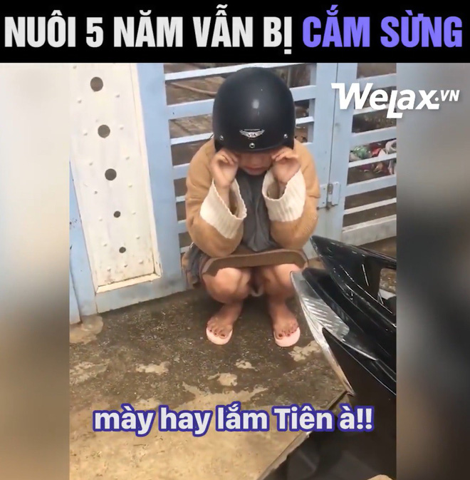 Thanh niên kể nuôi bạn gái 5 năm vẫn bị cắm sừng, cô gái lên tiếng: Mình không được đi học ĐH và bị đánh