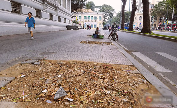 Chùm ảnh: Người Sài Gòn đặt hoa hồng trên gốc những hàng cây xanh bị đốn hạ ở đuờng Tôn Đức Thắng