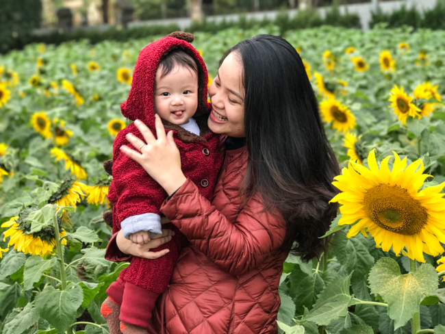 Ảnh: Ngay Hoàng thành Thăng Long có vườn hoa hướng dương đẹp nức nở Ảnh: Ngay Hoàng thành Thăng Long có vườn hoa hướng dương đẹp nức nở