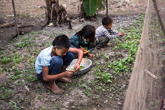 Một ngày xoay như chong chóng của ông bố một mình nuôi 8 con