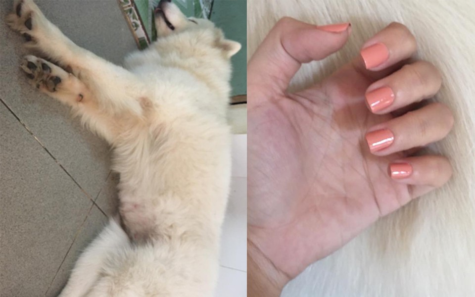 Khi sen bán hàng online thì boss cũng phải hy sinh một chút để cải thiện thu nhập cho gia đình