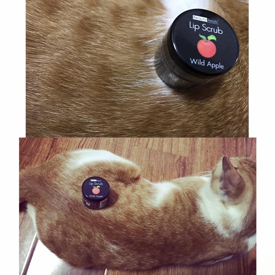 Khi sen bán hàng online thì boss cũng phải hy sinh một chút để cải thiện thu nhập cho gia đình