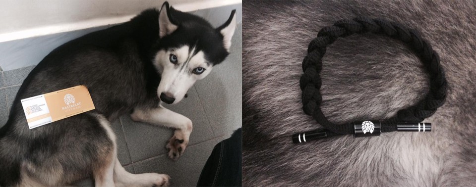 Khi sen bán hàng online thì boss cũng phải hy sinh một chút để cải thiện thu nhập cho gia đình